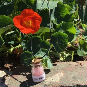 Crystals (Rose Quartz) In A Bottle Mini